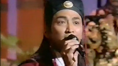 新鴛鴦蝴蝶夢