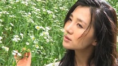 阿朵 - 煙雨鳳凰