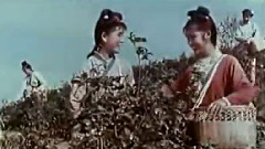 采茶歌 & 對歌