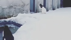 周筆暢INS更新