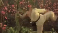 逍遙
