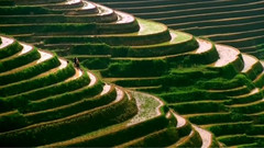 桂林龍脊梯田