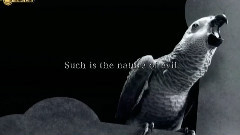 Escpae.逃殺 預告片