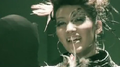 鳥の群れ