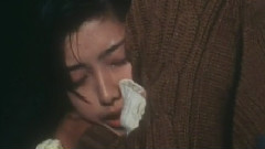 衷心地感謝你 <血疑>片頭曲