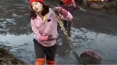 青春不敗