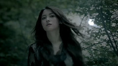 白晝夢