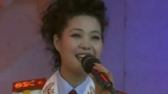 雁南飛