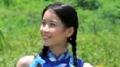 忘不了家鄉的綠