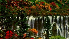 九寨溝之犀牛海