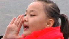 白鼻子狐貍