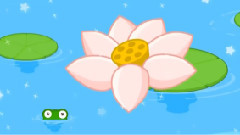 數蛤蟆