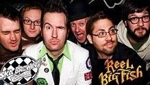 Reel Big Fish - Live DVD - Part 1 現場版