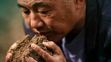 耿為華《最美是故鄉》官方版