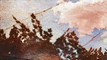 The Album Leaf - Stretched Home  圖片版