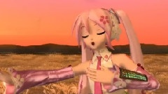 君に噓