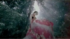 花千樹