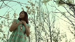玉蘭花