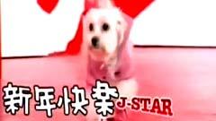 新年快樂