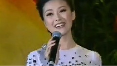 銀杏飄香的地方
