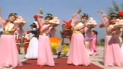 兩只蝴蝶