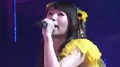 迷宮蝴蝶