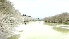 記憶