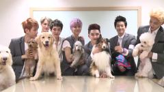 KBS Super Dog 未公開影像