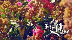 入陣曲