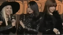 2013MAMA 紅地毯 2NE1 Cut