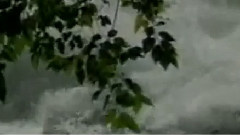 奔馳在千里草原