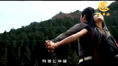 民樂群星 - 相愛到永遠