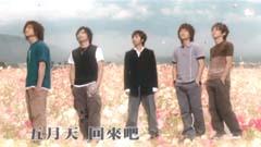 回來吧