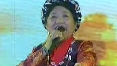 遠飛的大雁