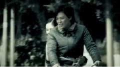 愛情惹的禍