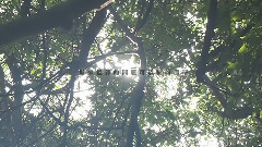 希望你會記得