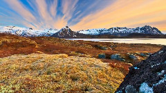 挪威美麗北極光