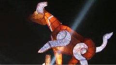 2011AAC亞洲大會