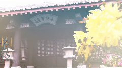 江山隱