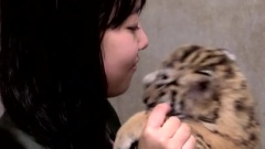 MBC 生機勃勃的動物園ii