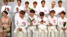 泰妍、EXO節目訪談記錄