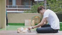 - 《屏息》之元日失聲痛哭