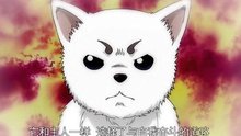 曇天 日本動漫《銀魂》OP