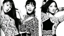 Perfume - Spring Of Life