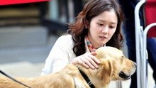 Morning Of Canon 韓劇《你是我的命運》OST