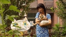 龍寬 - 龍寬工作室第二次開放日預告
