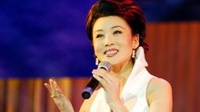 韓再芬 - 韓再芬 - 樹上的鳥兒成雙對