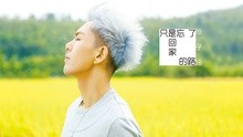 孫子涵 - 只是忘了回家的路
