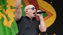 Pitbull Live At New Orleans Jazz & Heritage Festival 2015