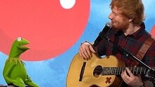 The Rainbow Connection RedNoseDay現場版 2015